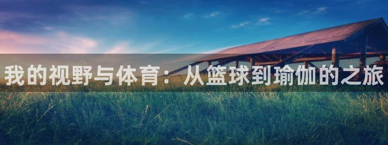 vsport体育官方正版app娱乐网站:我的视野与体育:从篮