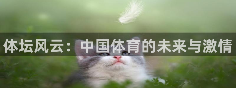 vsport体育官方平台体育:体坛风云:中国体育的未来与激情