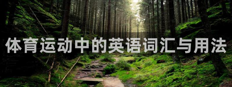 德国vsport体育官方正版app集团:体育运动中的英语词汇